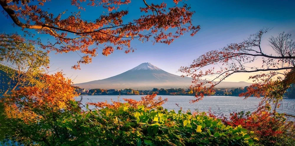 33355-23-84179e86963fd4f8a5a2dd666722184d-1000x496